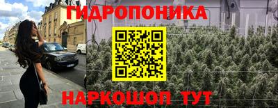 гидра Ставрополь