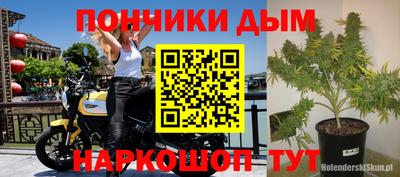 гидра Ставрополь