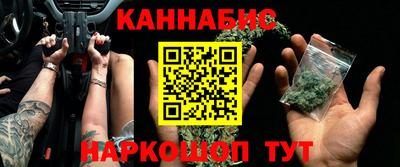 гидра Ставрополь