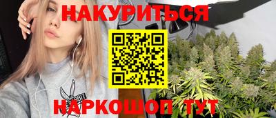 гидра Ставрополь